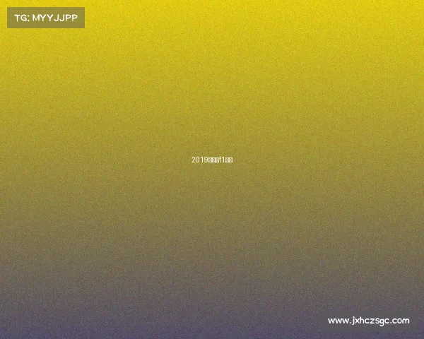 2019年上海f1赛事